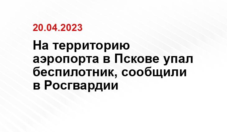 На территорию аэропорта в Пскове упал беспилотник, сообщили в Росгвардии