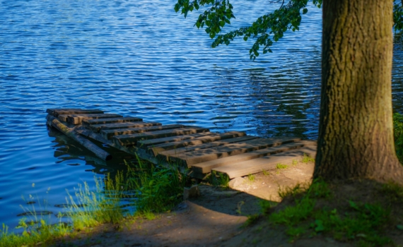 Южноуральский экокризис — результат многолетнего пренебрежения к природоохране