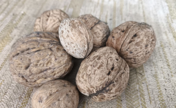 Питание вместо изнуряющих тренировок: диетолог назвала 7 спасительных продуктов для тех, кому за 50 Питание вместо изнуряющих тренировок: диетолог назвала 7 спасительных продуктов для тех, кому за 50