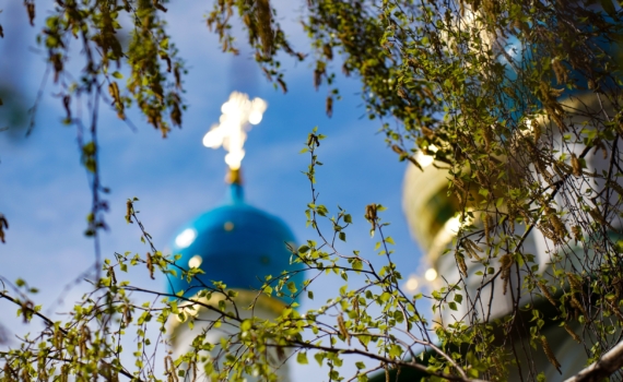 Луговой: Сорос продвигает цветные революции и деструктивные идеологии Луговой: Сорос продвигает цветные революции и деструктивные идеологии